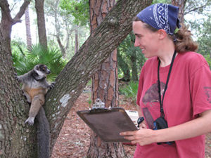 Girl in red shirt with a clipboard studying a lemur