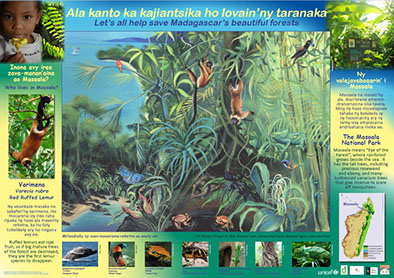 AKO book series poster Malagasy conservation LCF lemur conservation foundation red-ruffed lemur fuzzy and furry