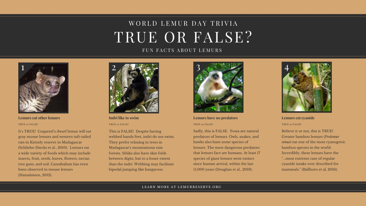 2019 World Lemur Day Trivia