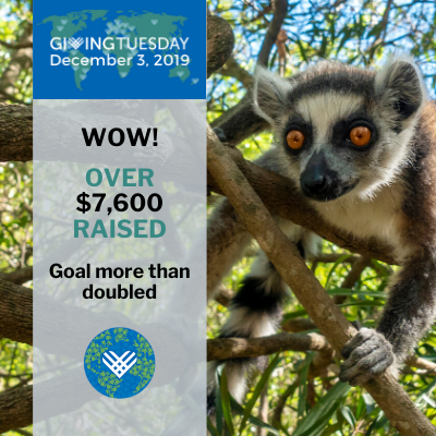 2019 GivingTuesday Results