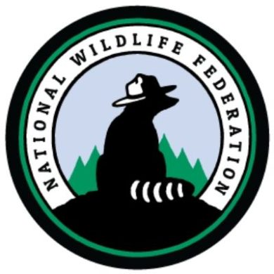 Save WildLife