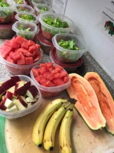 Lemur diet preparation including papaya, banana, apple, watermelon, kale, and carrots