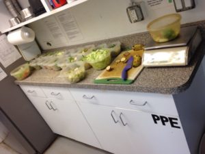 Kitchen at LCF during lemur diet preparations with cut produce and diet bowls