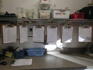 Clipboards hanging from shelves in clinic