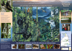 AKO book series poster of Anjanaharibe Sud Special Reserve featuring indri and silky sifaka, Malagasy conservation LCF lemur conservation foundation