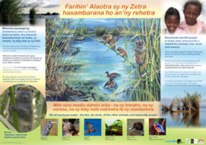AKO book series poster of Lac Alaotra featuring bandro, Malagasy conservation LCF lemur conservation foundation