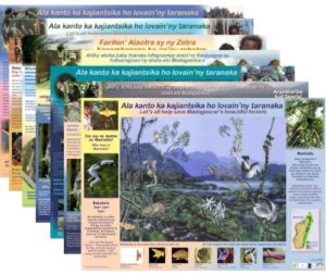 Lemur Posters from Lemur Conservation Foundation