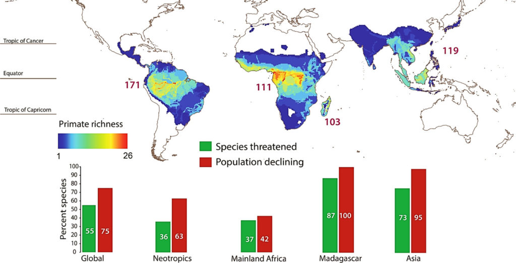 International Primate Day - The Lemur Conservation Foundation