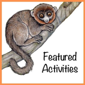 LCF World Lemur Festival 2021 Featured Activities