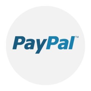 Donate Icon PayPal