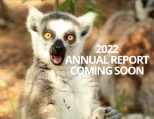 2020 Annual Report Cover Coming Soon