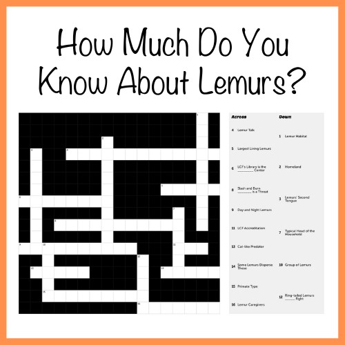 Lemur Crossword