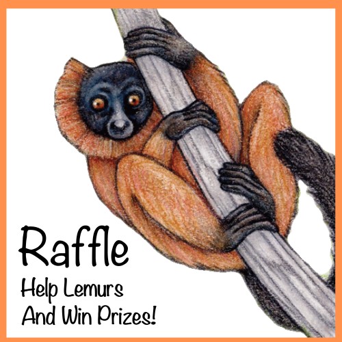 Help Lemurs and Win Prizes