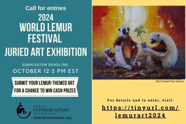 Calling All Artists! LCF announces its call for entries for the 2024 World Lemur Festival Juried Art Exhibition. There is no entry fee, and artists need only submit an image of their art to enter. The winner will receive $400 and be named LCF's Artist of the Year; other prizes will also be awarded. Artists' work will be showcased during the World Lemur Festival, Oct. 21-25. Entry forms and more information:
https://tinyurl.com/lemurart2024