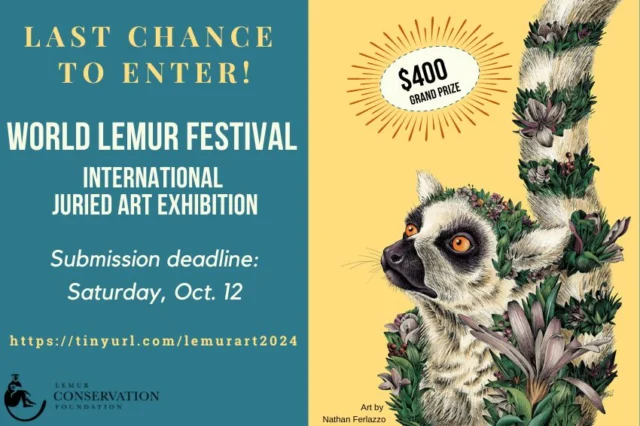 Saturday is the deadline to submit entries for the World Lemur Festival's International Juried Art Contest. Artists need only submit a photo of their art to enter. All visual art mediums are accepted; current entrants include stained glass, ceramics, photography, rubber band art, oil and watercolor paintings, and more! The Grand Prize winner receives $400 and all qualified entries are exhibited online. https://tinyurl.com/lemurart2024