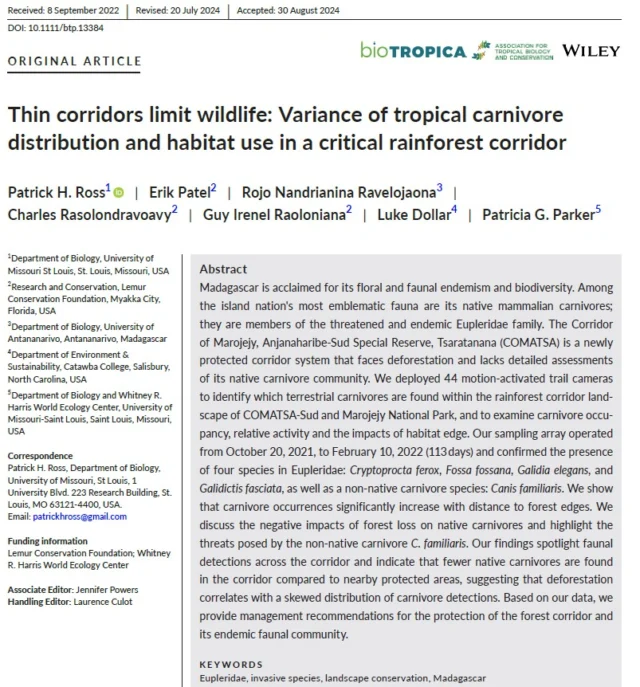 LCF Research Partnership Featured in New Publication: 

Ross, P. H., Patel, E., Ravelojaona, R. N., Rasolondravoavy, C., Raoloniana, G. I., Dollar, L., & Parker, P. G. (2024). Thin corridors limit wildlife: Variance of tropical carnivore distribution and habitat use in a critical rainforest corridor. Biotropica, e13384.

https://onlinelibrary.wiley.com/share/QWQRAETFJQ7S7YYRXHZ5?target=10.1111/btp.13384

LCF deployed 44 motion-activated trail cameras to identify which terrestrial carnivores are found within the rainforest corridor landscape of COMATSA-Sud and Marojejy National Park, and to examine carnivore occupancy, relative activity and the impacts of habitat edge. Our sampling array operated from October 20, 2021, to February 10, 2022 (113 days) and confirmed the presence of four species in Eupleridae: Cryptoprocta ferox, Fossa fossana, Galidia elegans, and Galidictis fasciata, as well as a non-native carnivore species: Canis familiaris.

All cameras were installed, maintained, and downloaded by LCF team members with Malagasy University student Rojo Ravelojaona.  Patrick Ross led the analysis in the USA, project design, and write up.