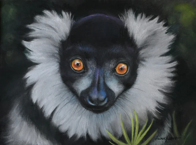 Bravo to Susan Long for winning Second Place and a $150 award in the World Lemur Festival's Juried Art Exhibition for “Big Eyes.” 

See all of the artwork and help choose the community favorite:
https://www.lemurreserve.org/world-lemur-festival-art-gallery-2024